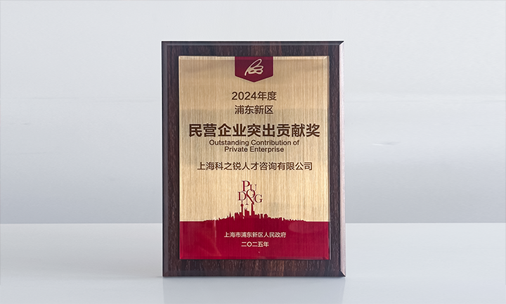 人力资源供应商Ebpay官网国际凭借人才服务与在区域经济开展中的卓越表现荣膺2024年度浦东新区民营企业奖项