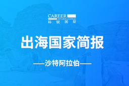 Ebpay官网GO GLOBAL | 沙特阿拉伯国家简报